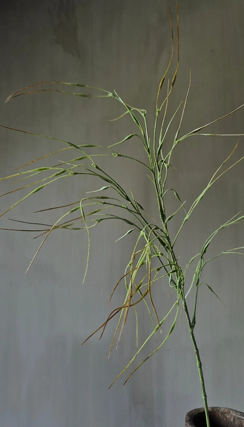 Siergras kunsttak groen - 78 cm
