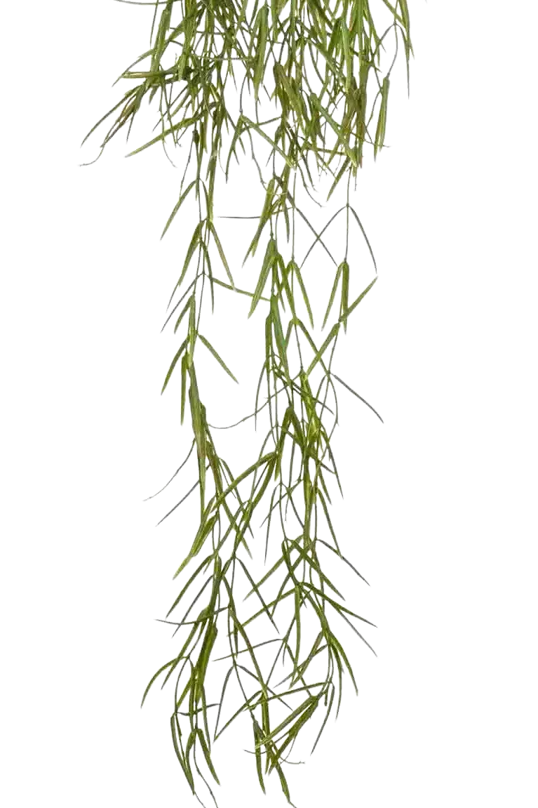 Künstliche Hänge-Hoya - Kurt | 80 cm