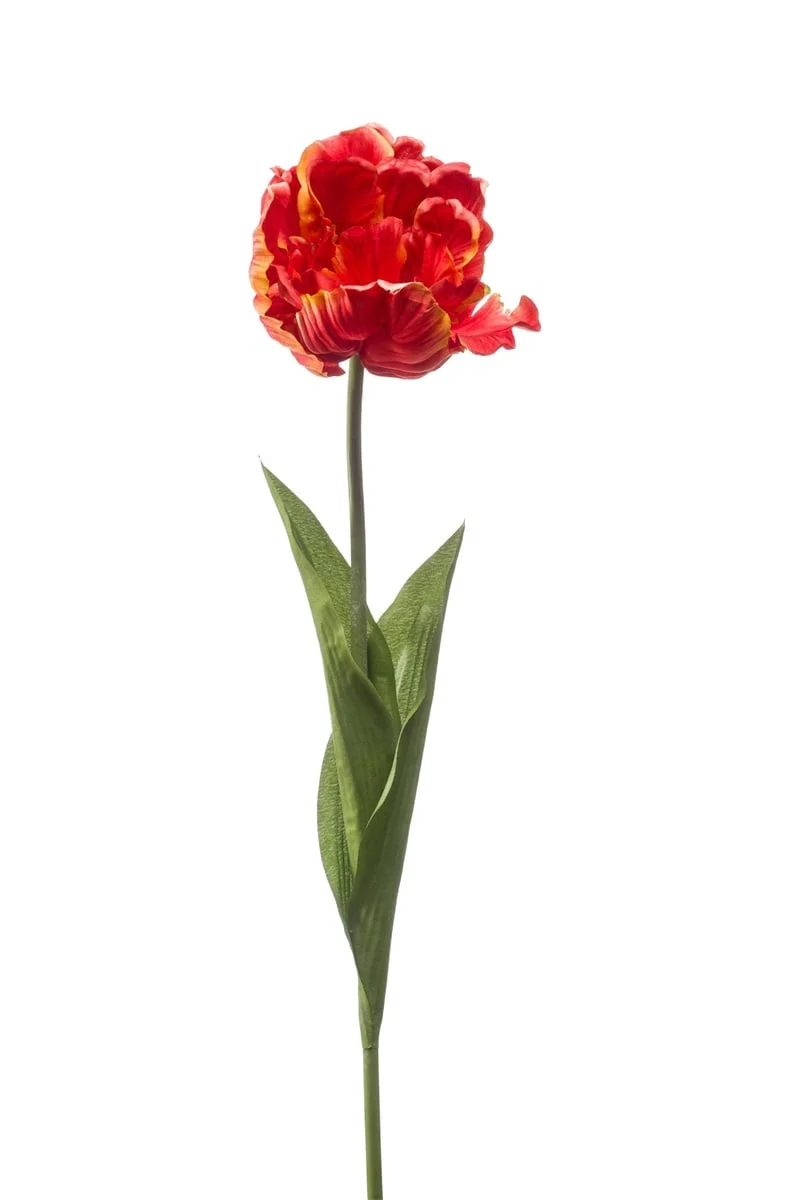 Künstliche Tulpe rot | 66 cm