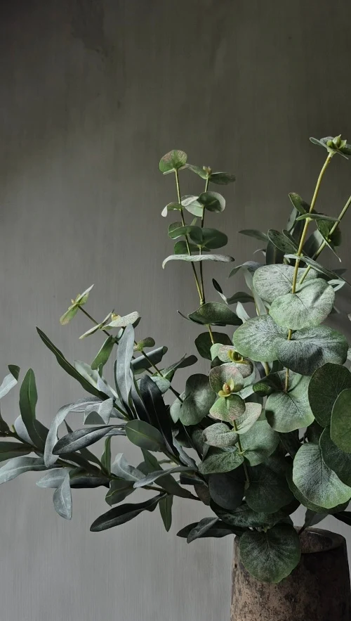 Eucalyptus kunsttakken groene mix met olijf 65 cm