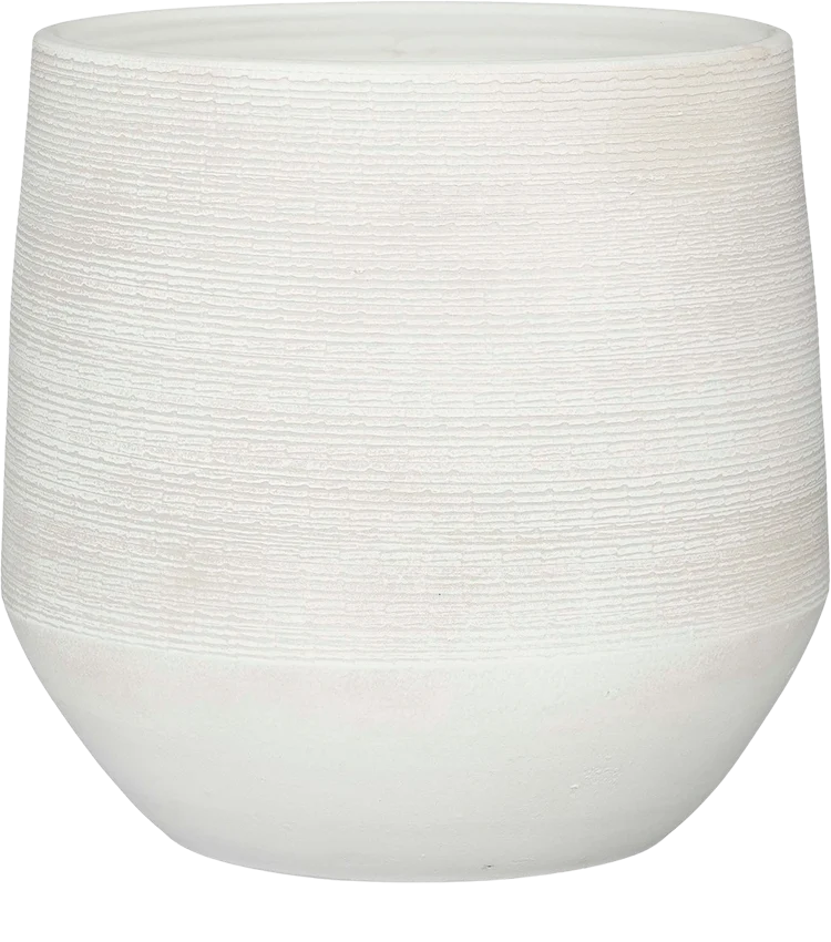 Evora (37cm)