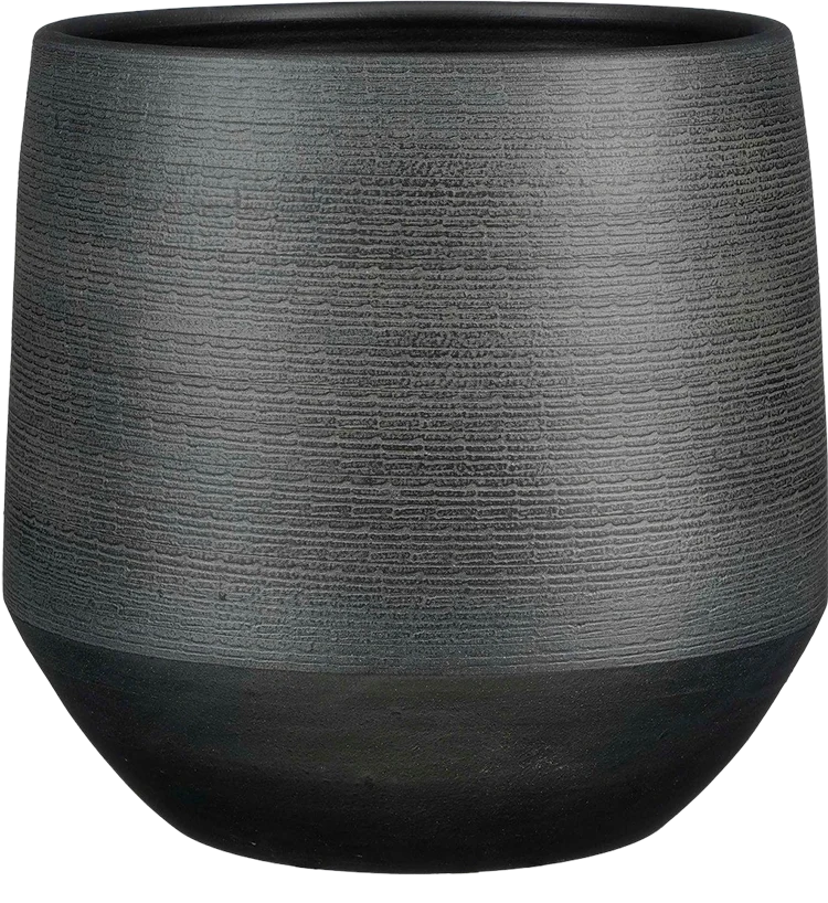 Evora (19cm)