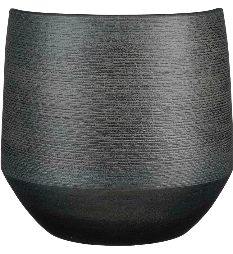 Evora (19cm)