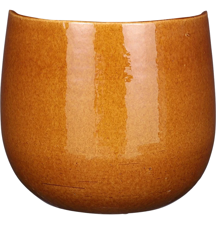 Pablo Smooth (18cm)