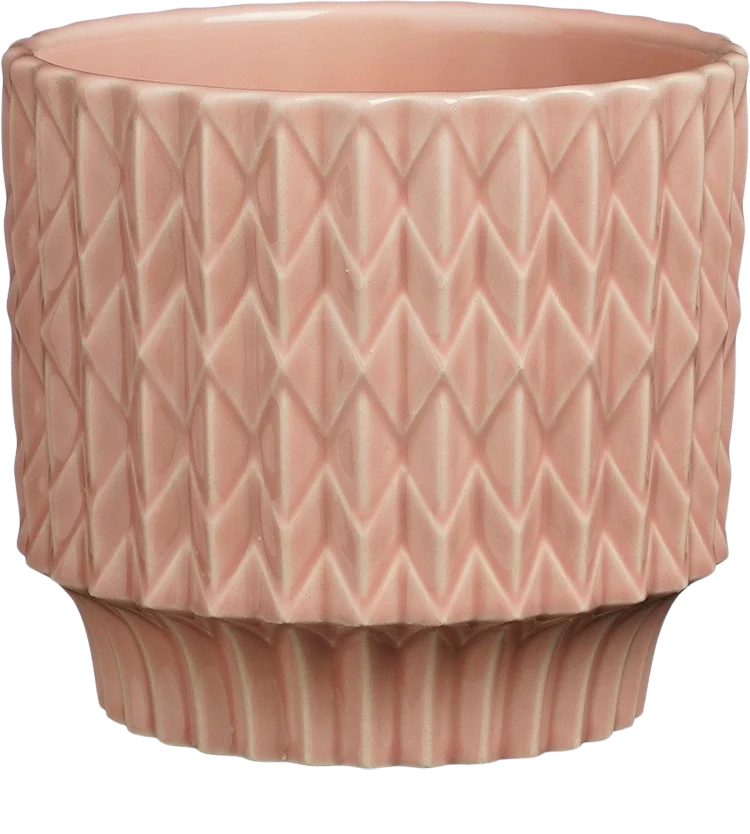 Lauria (13,5cm)
