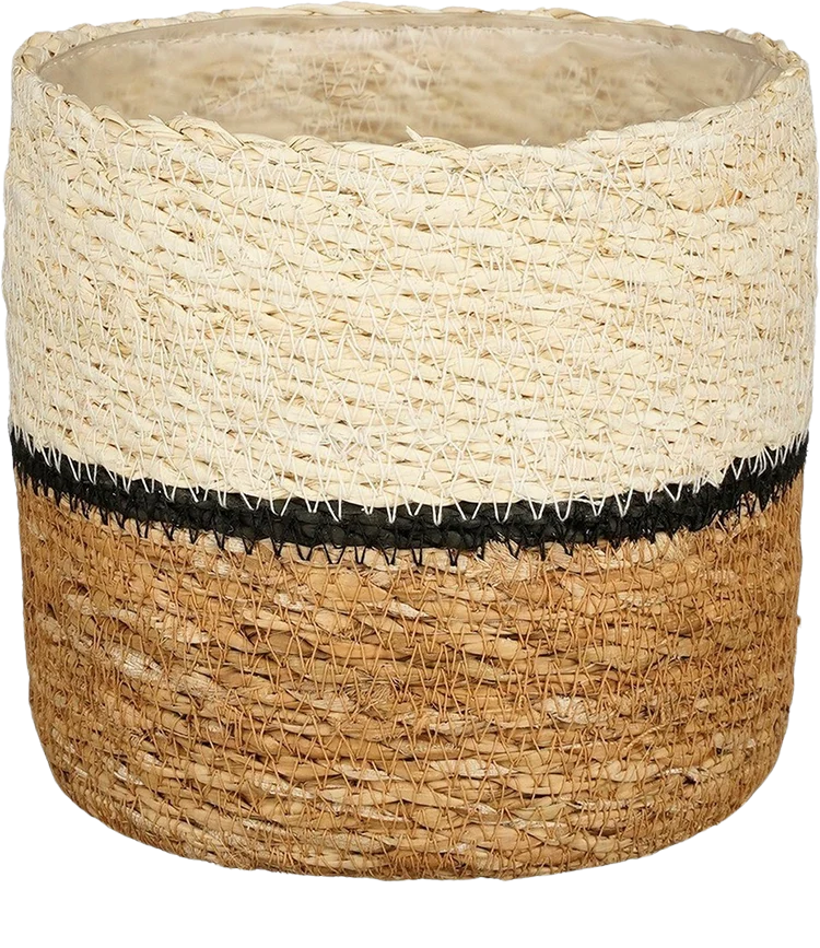 Damian Korb (14cm)
