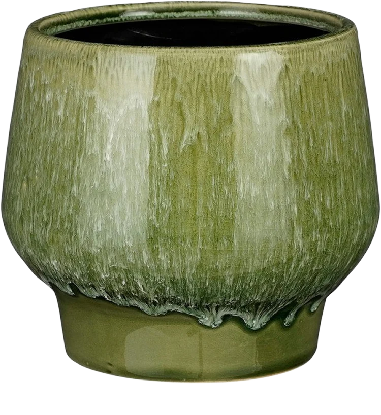 Monta (16cm)
