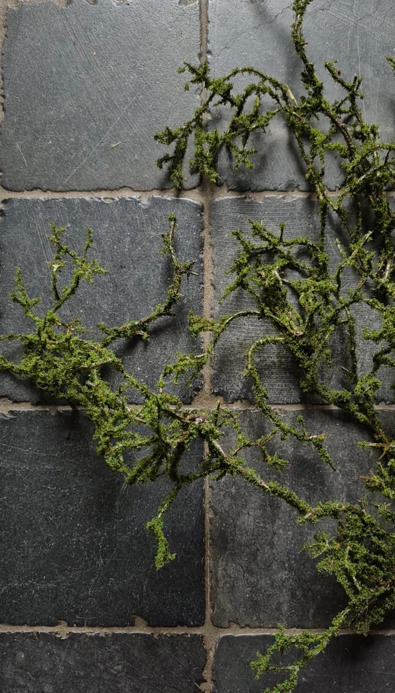 Kunst mostak slinger groen 90cm