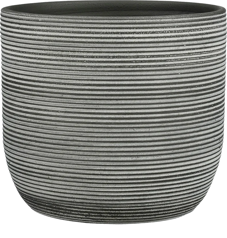 Samuel (15cm)