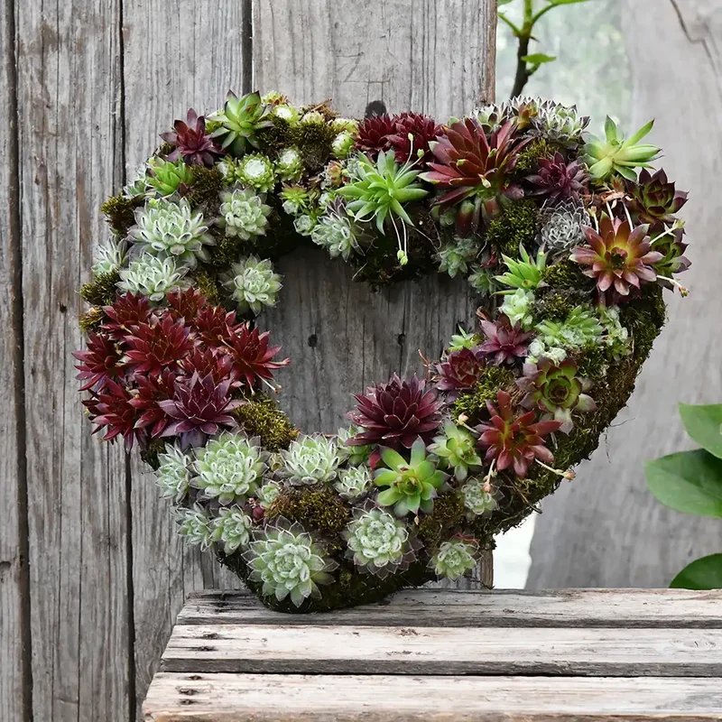 Grabschmuck Sukkulenten Herz Ø 25cm