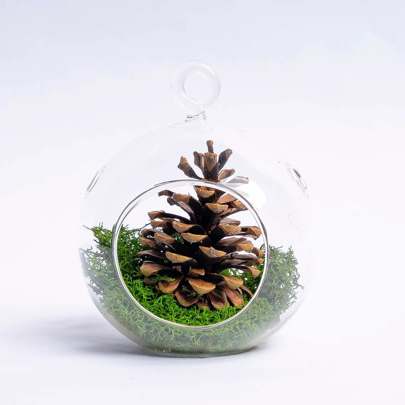 Glass Christmas Ball - Pinecone and Reindeer Moss