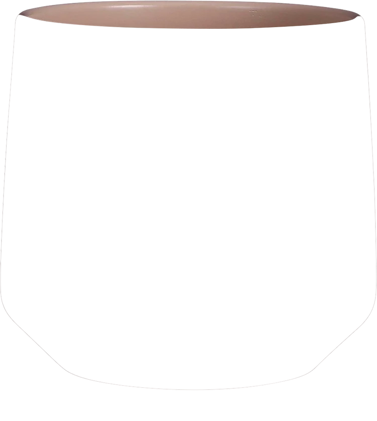 Amber (21 cm)