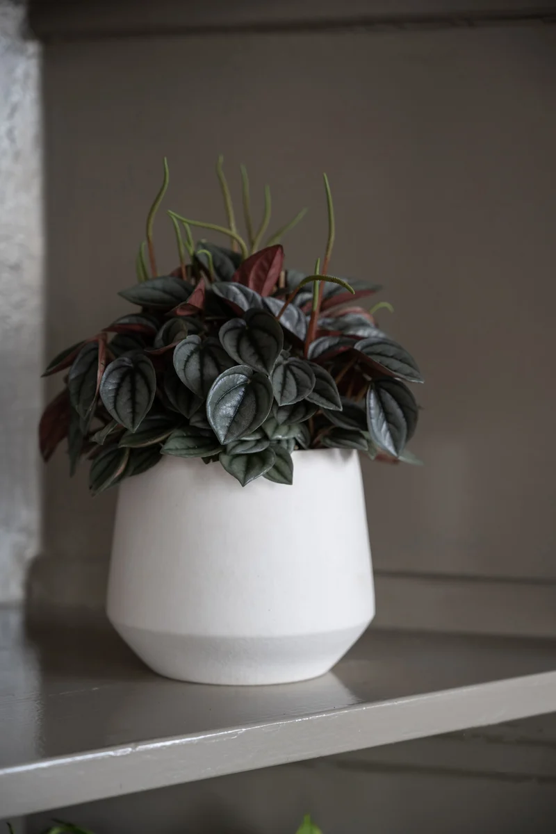Blumentopf Julia Natur Weiß aus glasierter Keramik