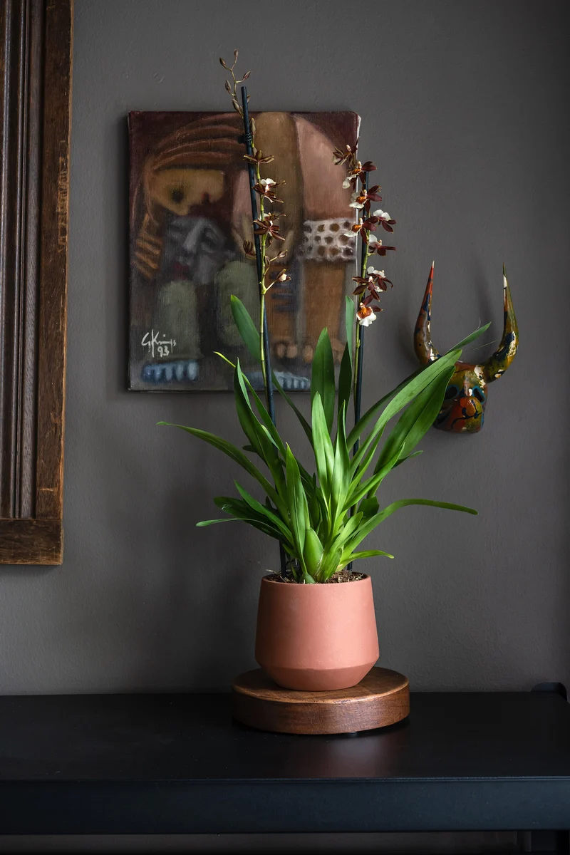 Blumentopf Julia Braun aus glasierter Keramik