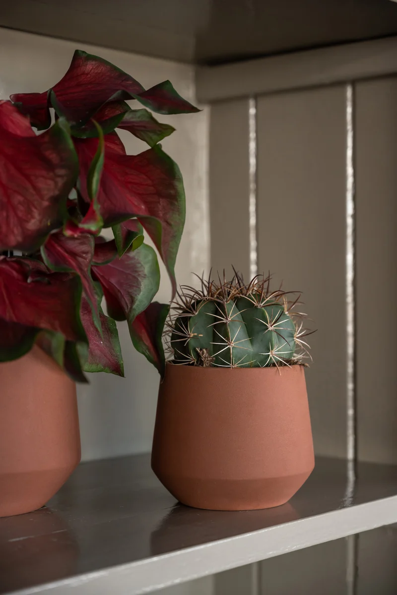 Blumentopf Julia Braun aus glasierter Keramik