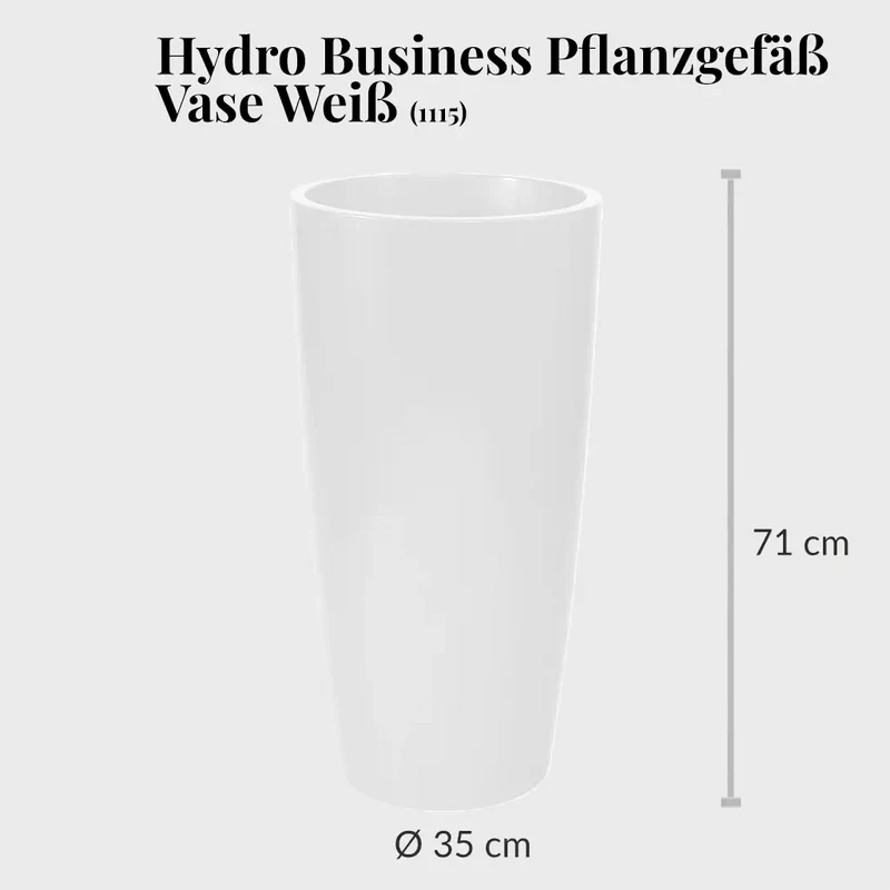 HYDRO SET XL Büropflanze Ficus Benjamina mit Vase Classico