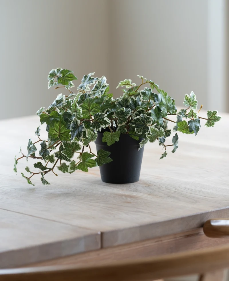 Kunst Klimop Deluxe groen-wit in pot 22 cm UV