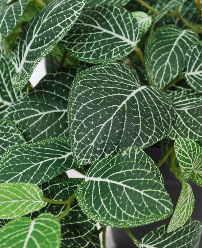 Kunst Hangende Fittonia groen-wit in pot 70 cm UV