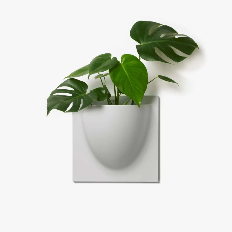 VertiPlants Wandgefäß aus pflanzlichen Materialien