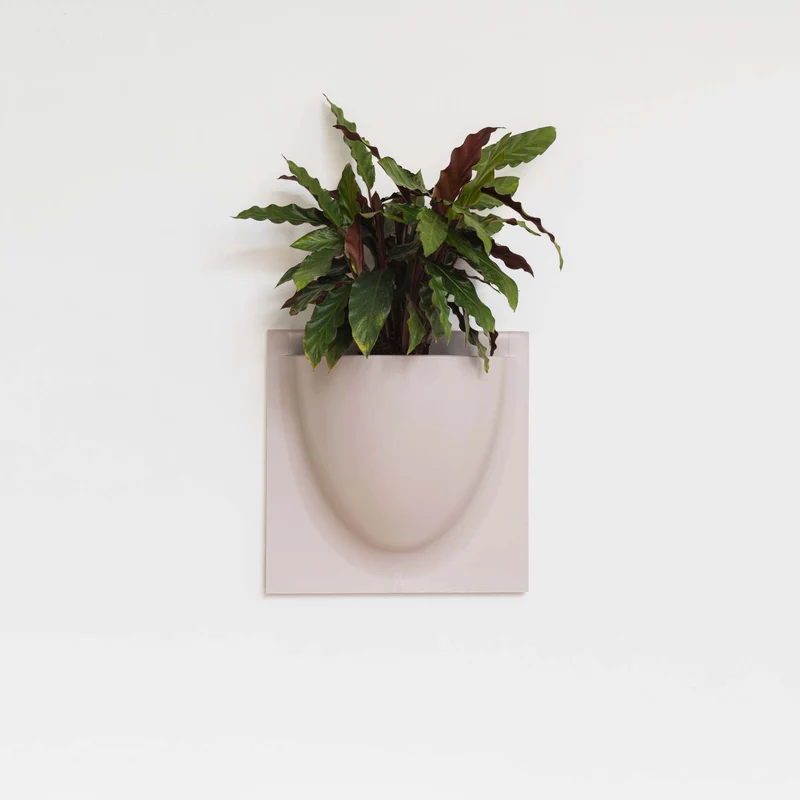 VertiPlants Wandgefäß aus pflanzlichen Materialien