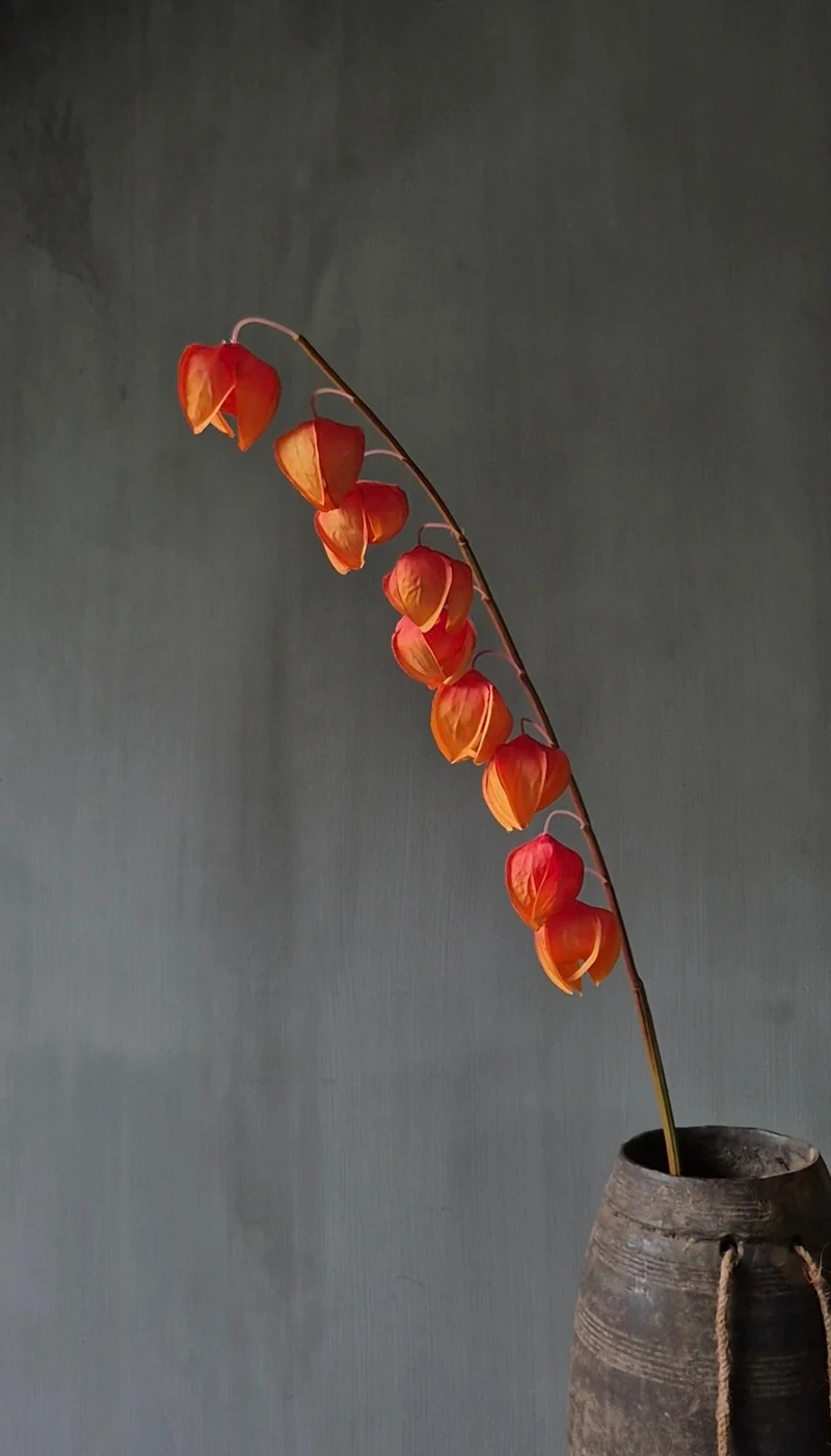 Physalis kunstbloem oranje - 88 cm