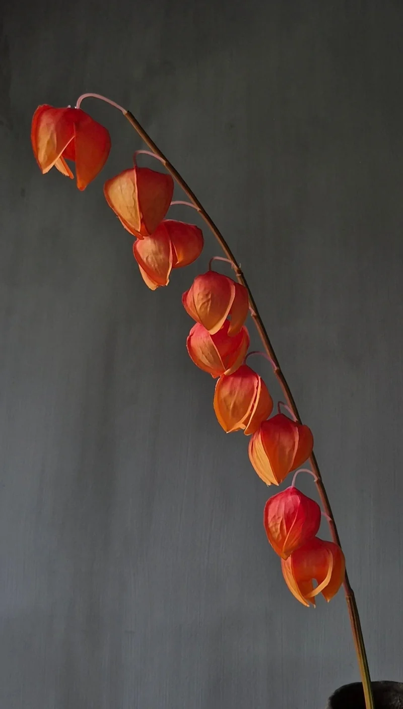 Physalis kunstbloem oranje - 88 cm