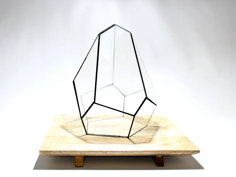 Geometric Terrarium - Jungle Gem - Vivarium - ↑ 16 x 15 x 19,5 cm (LxWxH) - Glass