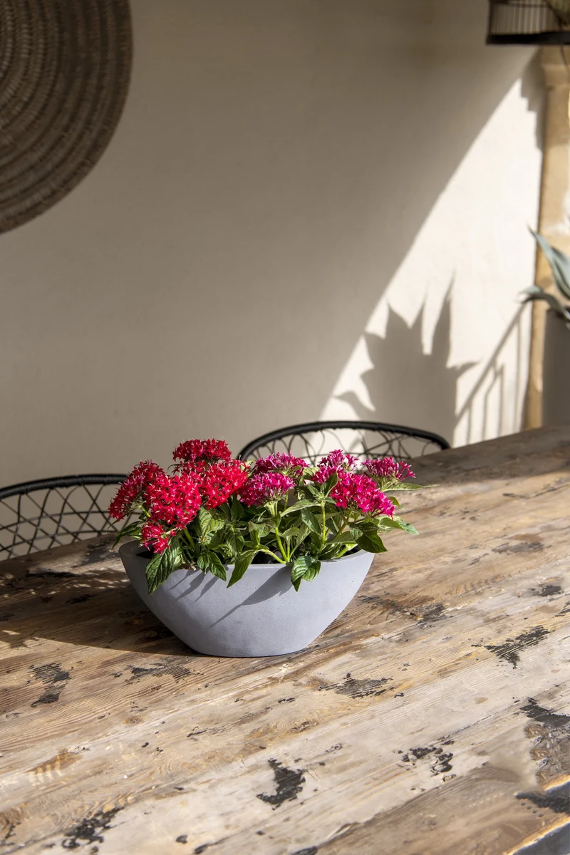 Ovale Pflanzschale Dorant Grau aus Fiberstone