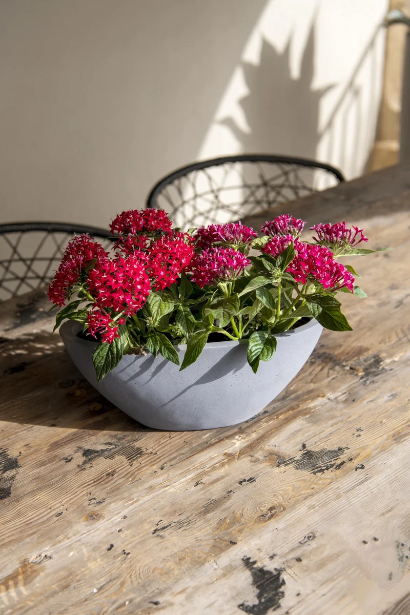 Ovale Pflanzschale Dorant Grau aus Fiberstone