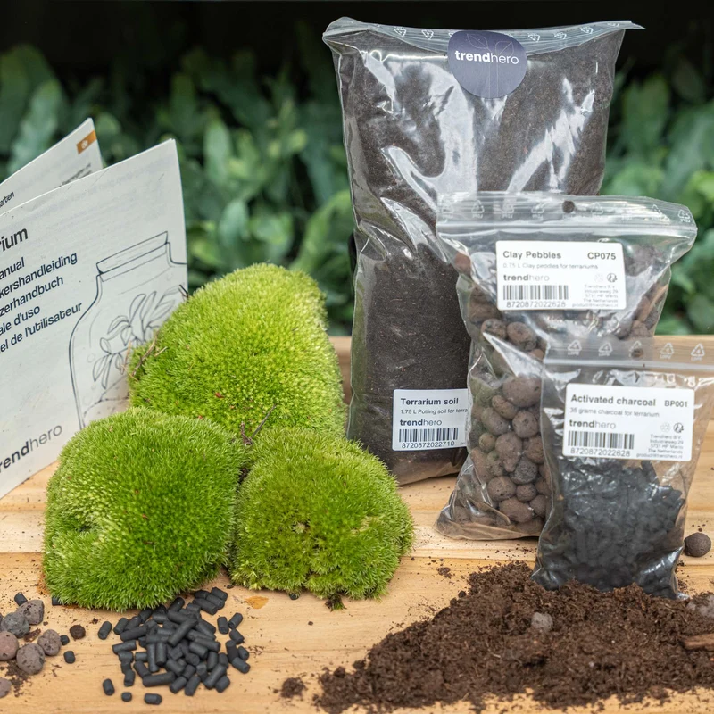 Terrarium Package – Refill & Starter Package – DIY Terrarium Kit – Size L/XL