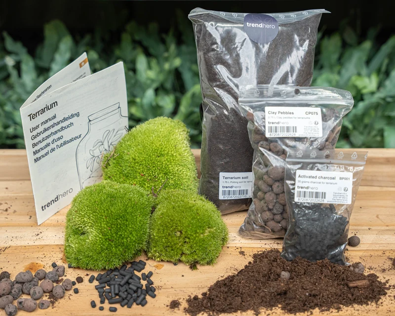 Terrarium Package – Refill & Starter Package – DIY Terrarium Kit – Size L/XL