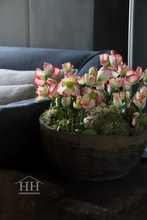 Kunst helleborus plant roze - 30 cm