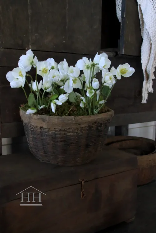 Kunst helleborus plant wit - 30 cm