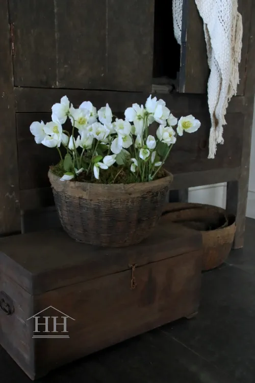 Kunst helleborus plant wit - 30 cm