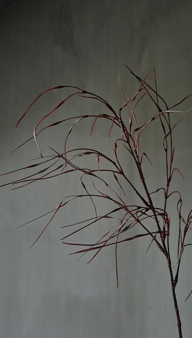 Siergras kunsttak bordeauxrood - 78 cm