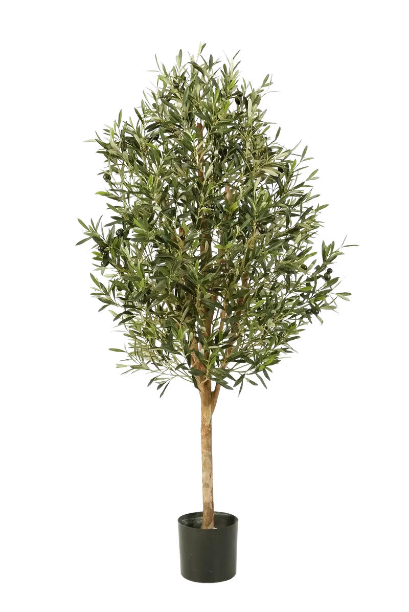 Künstlicher Olivenbaum - Ilaria | 170 cm