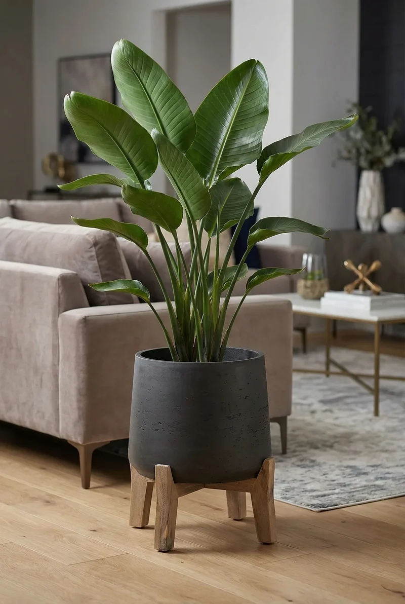 Blumentopf Patt Schwarz aus Ton, mit niedrigen Füßen