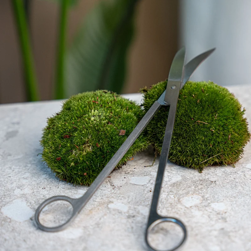 Terrarium scissors - Metal - 25 cm - Extra long - Curved blades - stainless steel