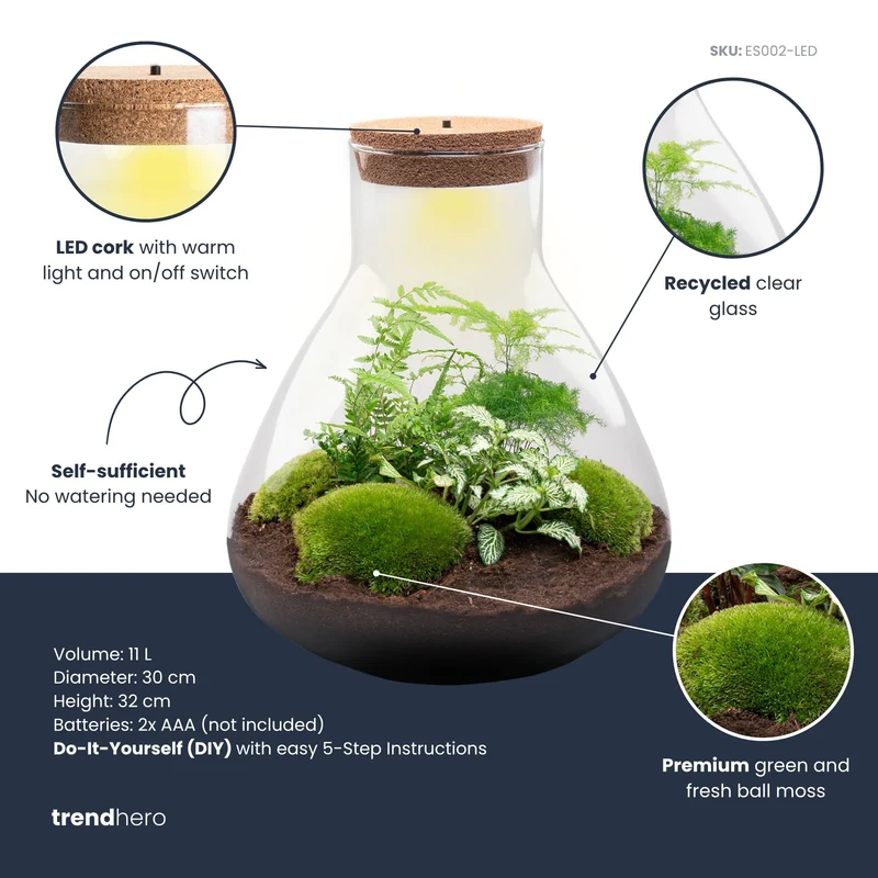 Sam XL - Terrarium with light - Bottle garden DIY kit - Ø 30 cm ↑ 32 cm