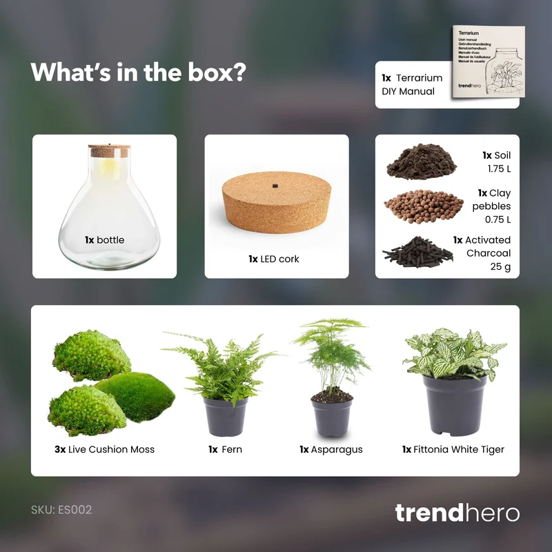Sam XL - Terrarium with light - Bottle garden DIY kit - Ø 30 cm ↑ 32 cm