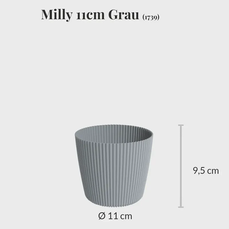 Milly 11cm