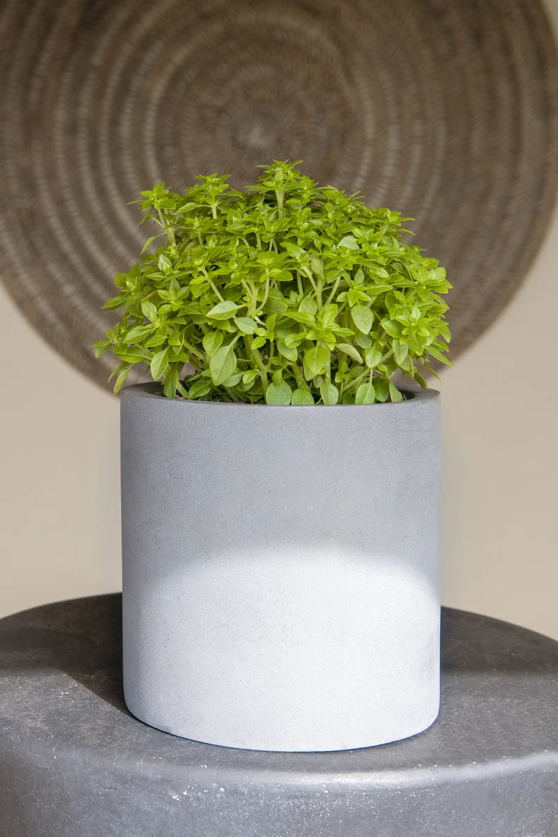 Übertopf Mini Max Grau in Zylinderform aus Fiberstone