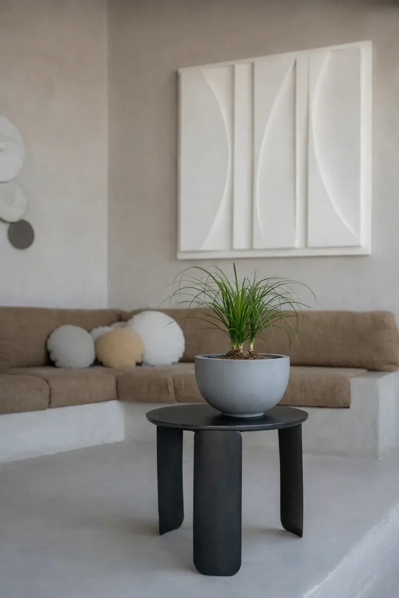 Pflanzschale Peter Grau aus robustem Fiberstone