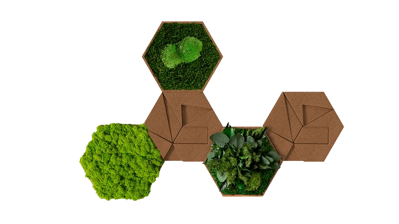 Kork-Hexagon Set, 5er Set