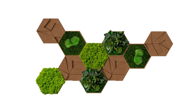 Kork-Hexagon Set, 10er Set