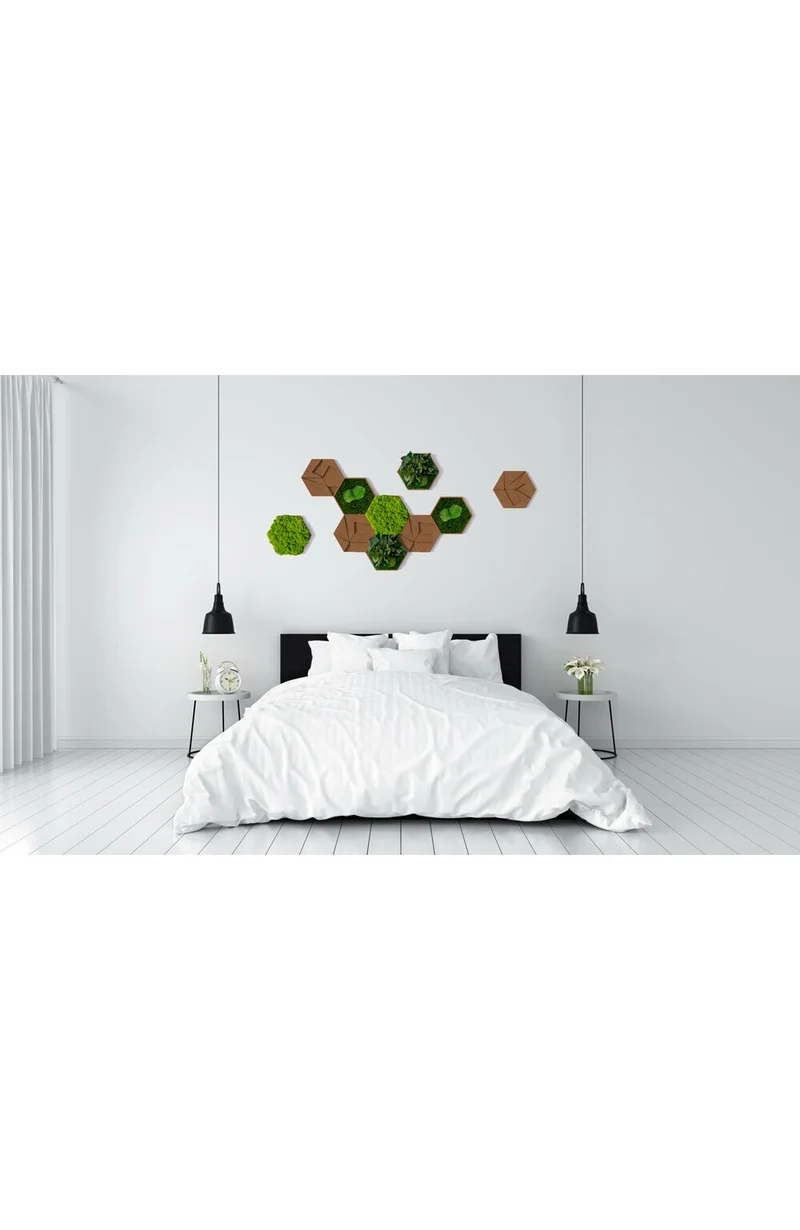 Kork-Hexagon Set, 10er Set