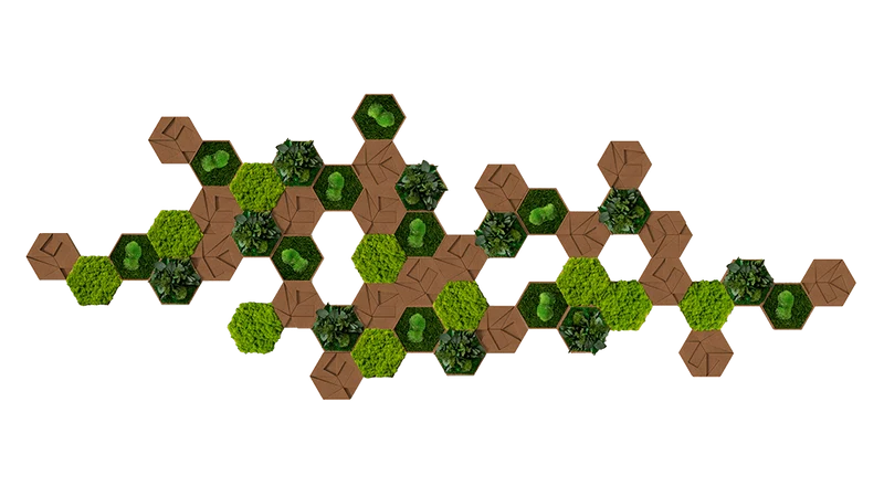 Kork-Hexagon Set, 50er Set