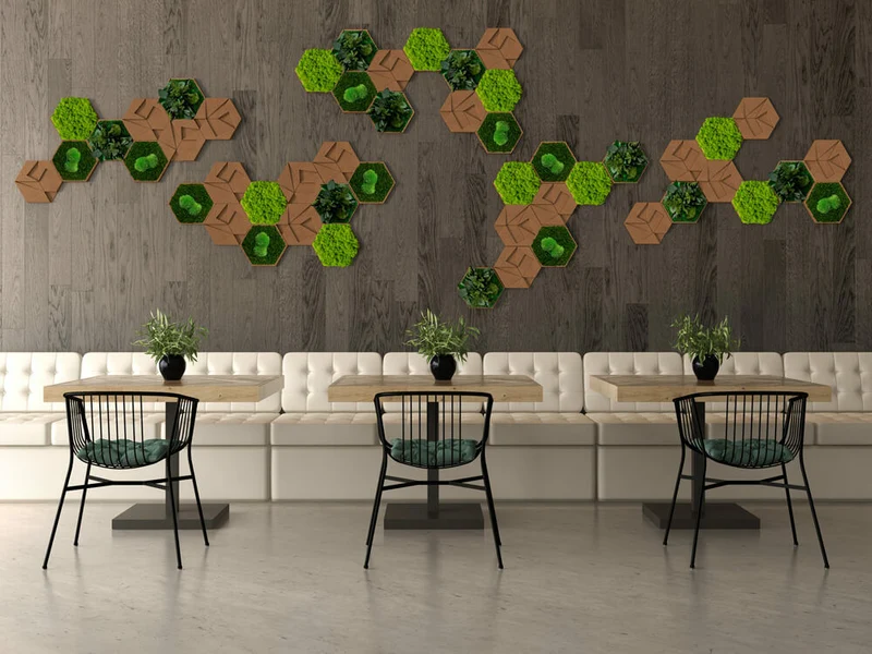 Kork-Hexagon Set, 50er Set