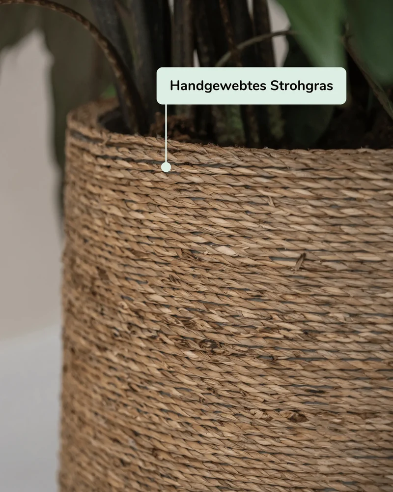 Pflanzkorb Patt aus handgewebtem Strohgras mit Zementkern