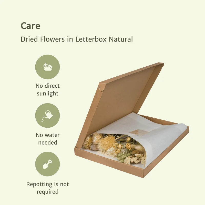 Dried flowers in Letterbox Natural - Dried bouquet - 35cm - Ø10
